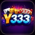 Y333 Game